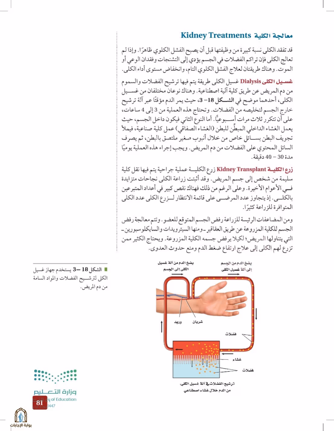 صفحة 81