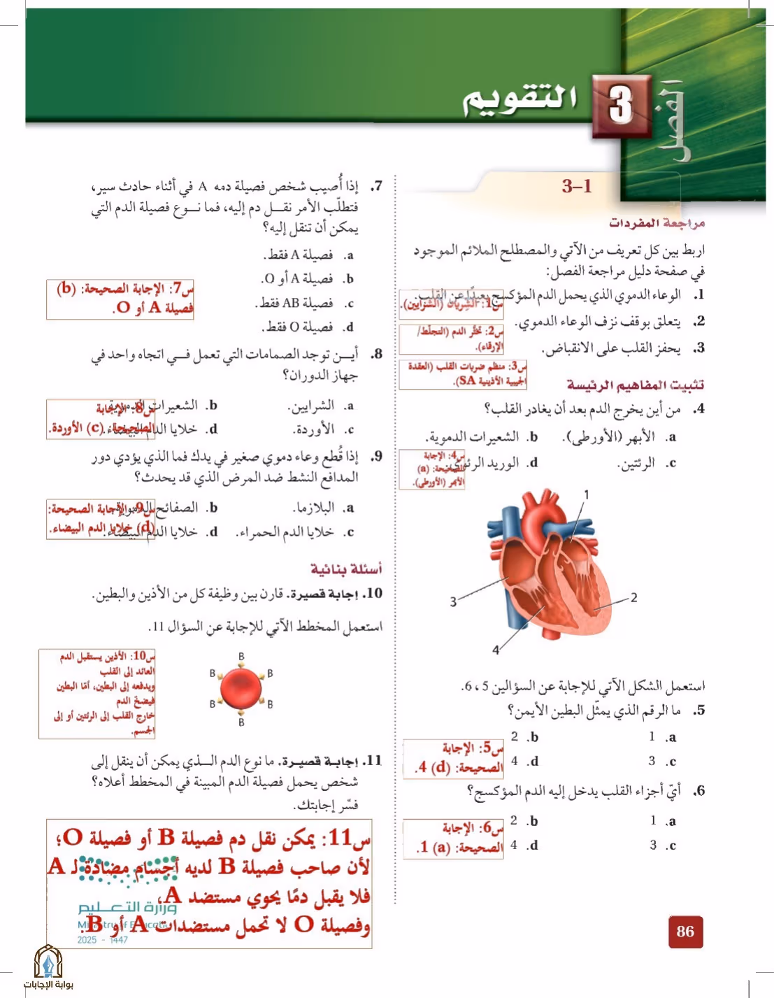 صفحة 86