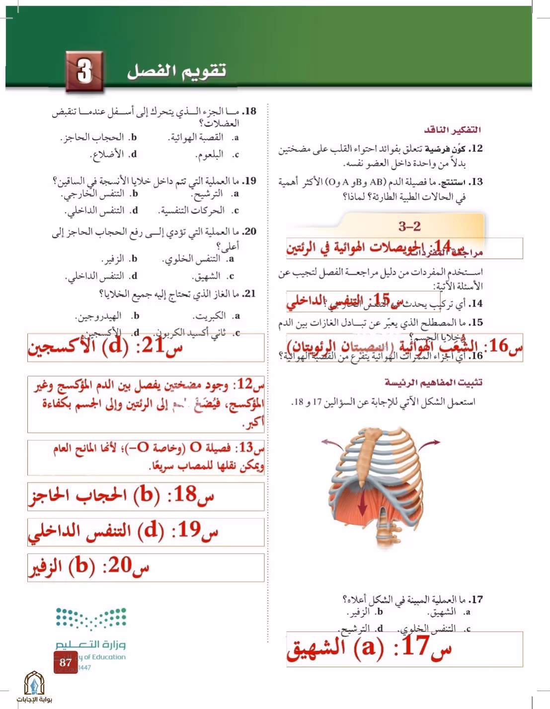 صفحة 87
