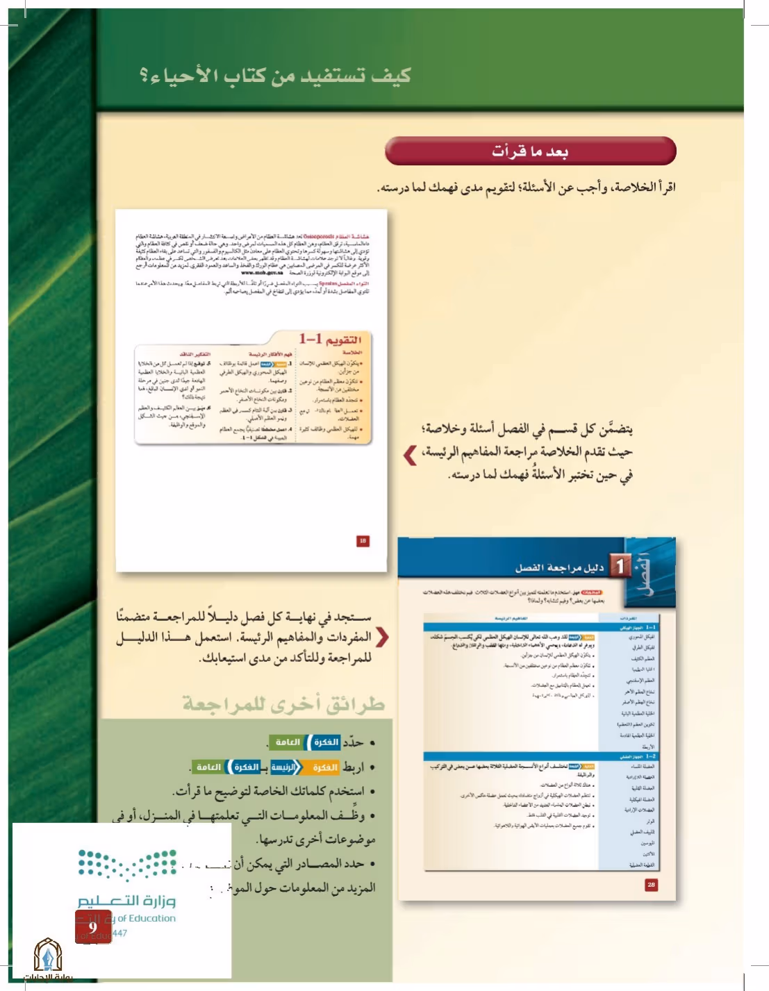صفحة 9