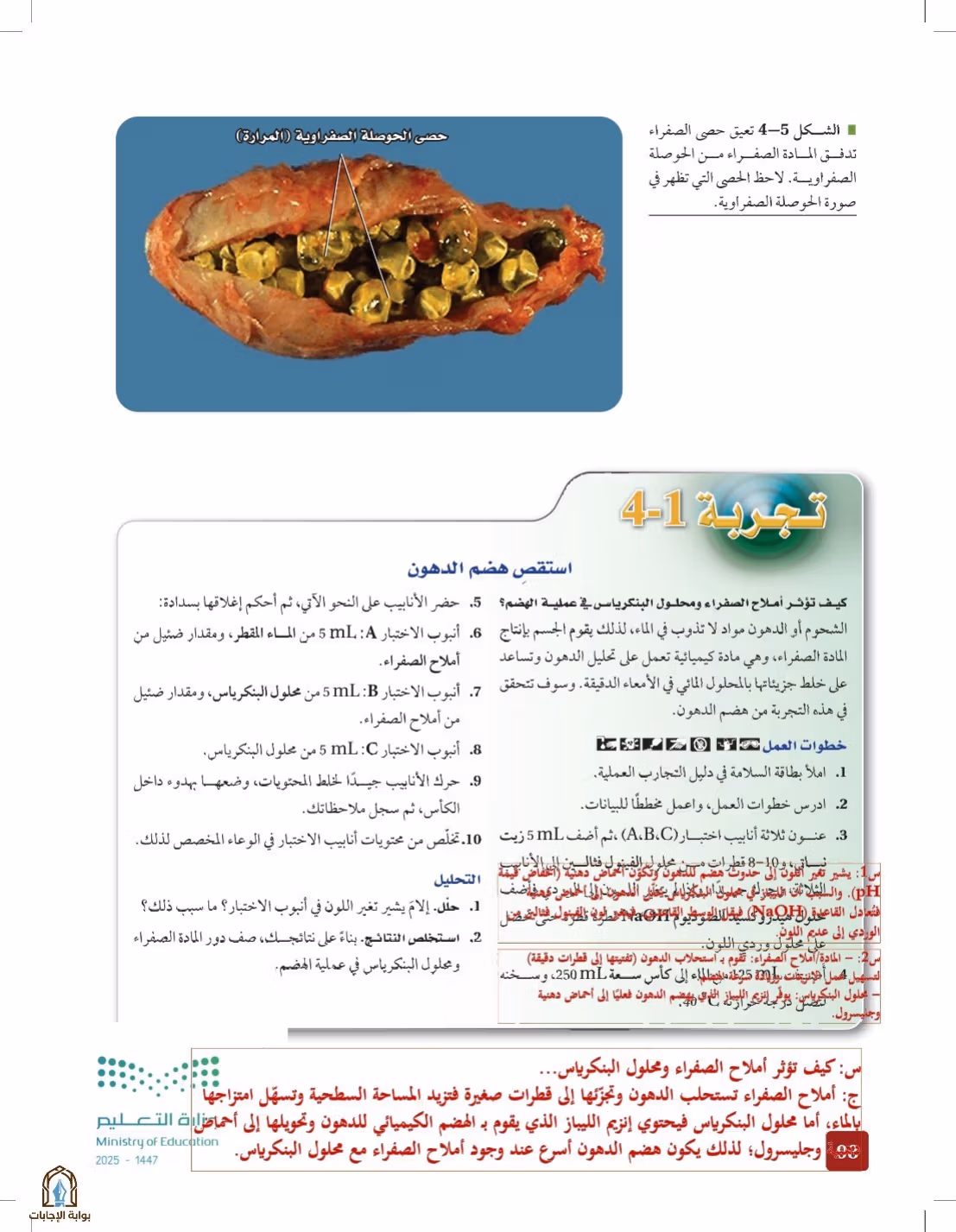 صفحة 98
