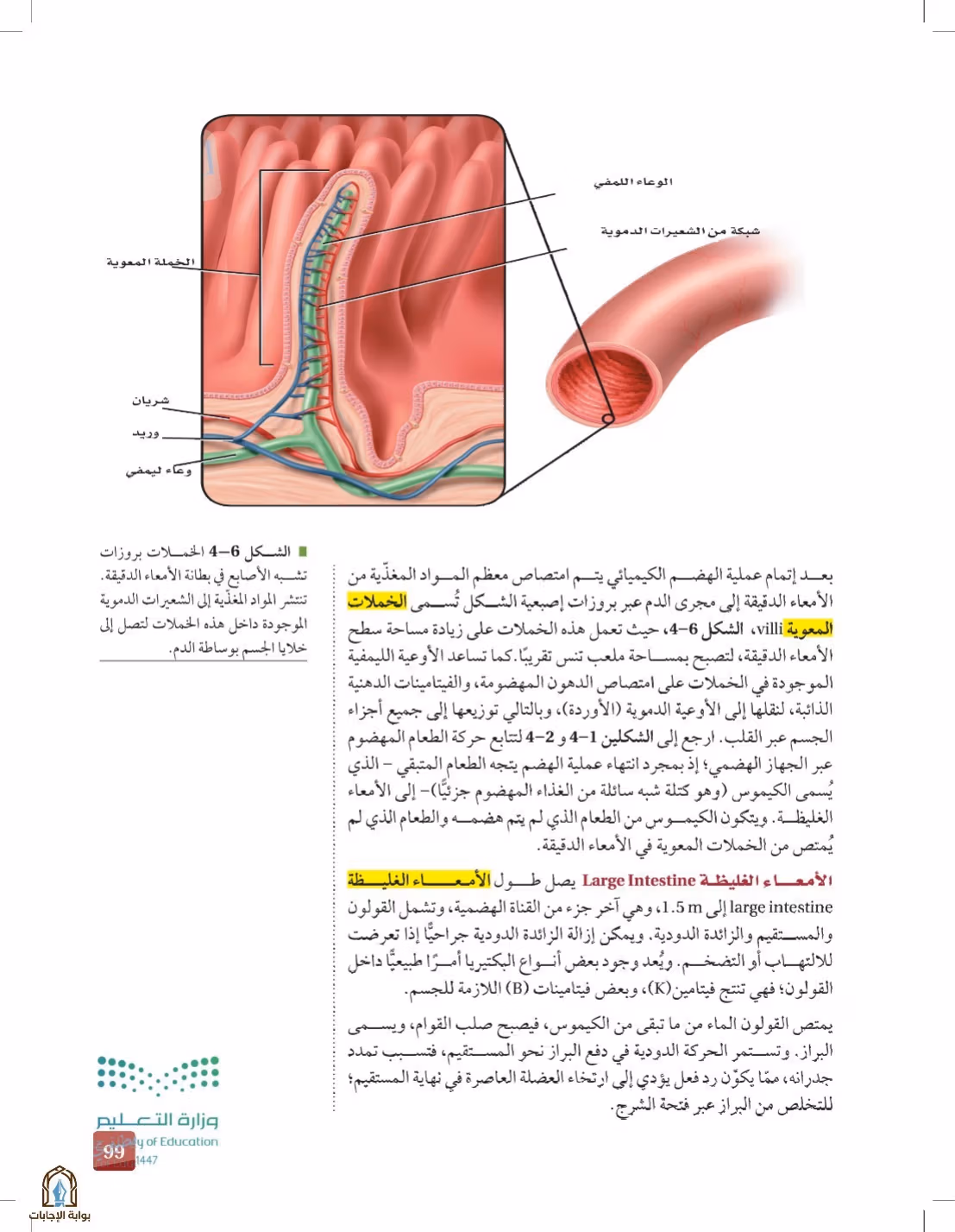 صفحة 99