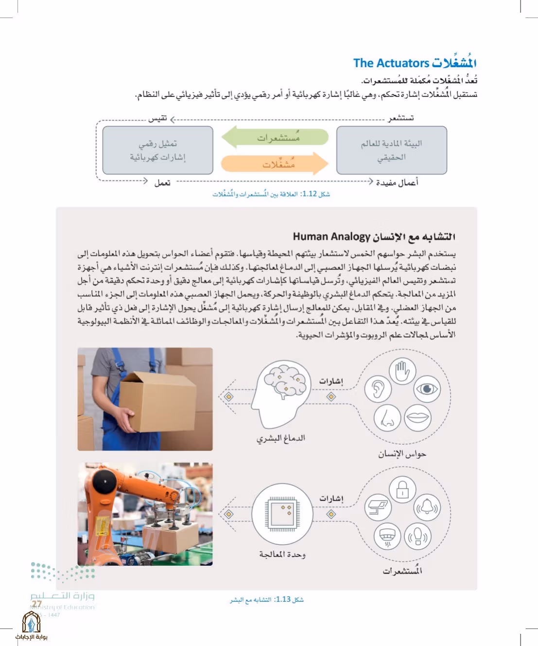صفحة 27