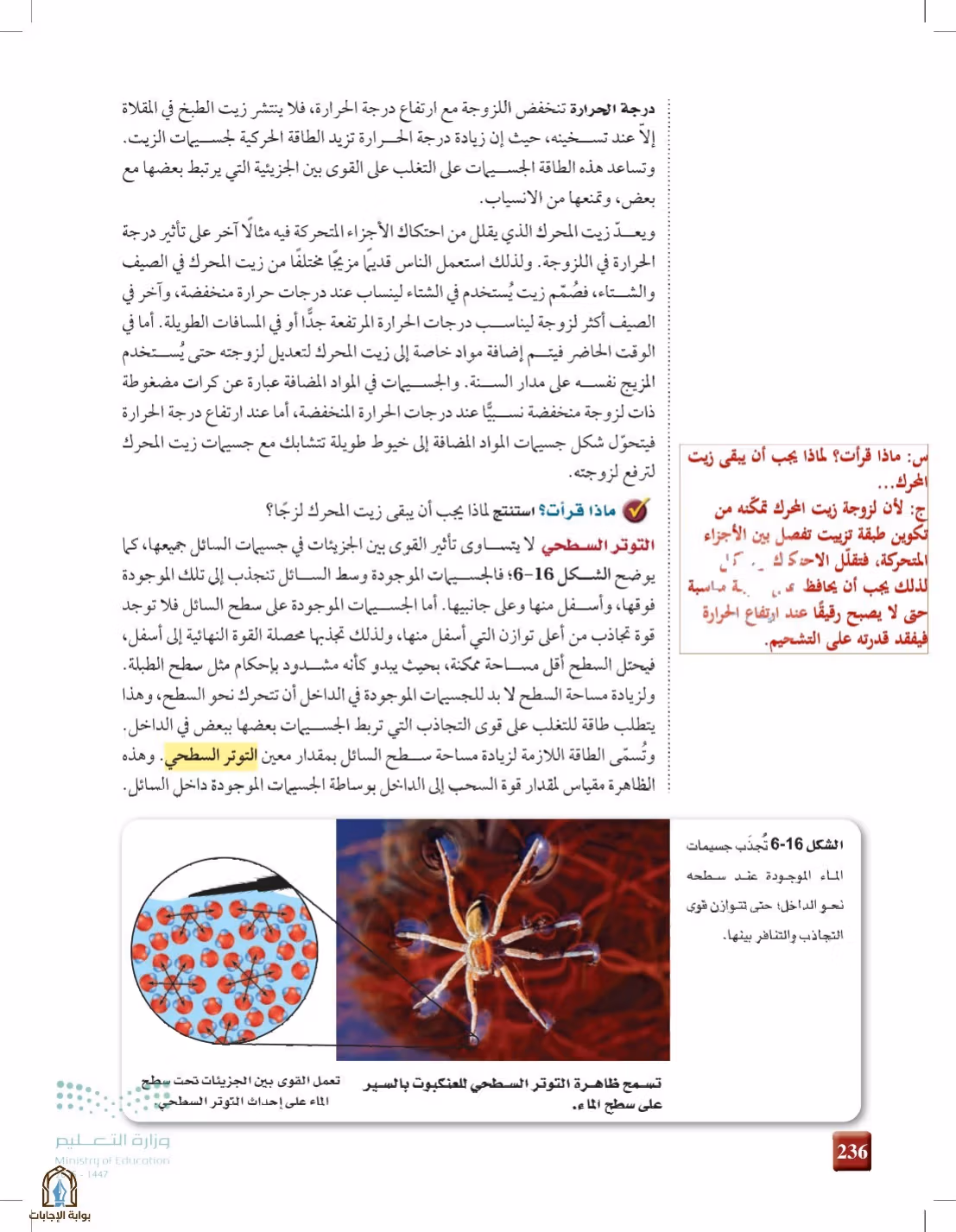 صفحة 236
