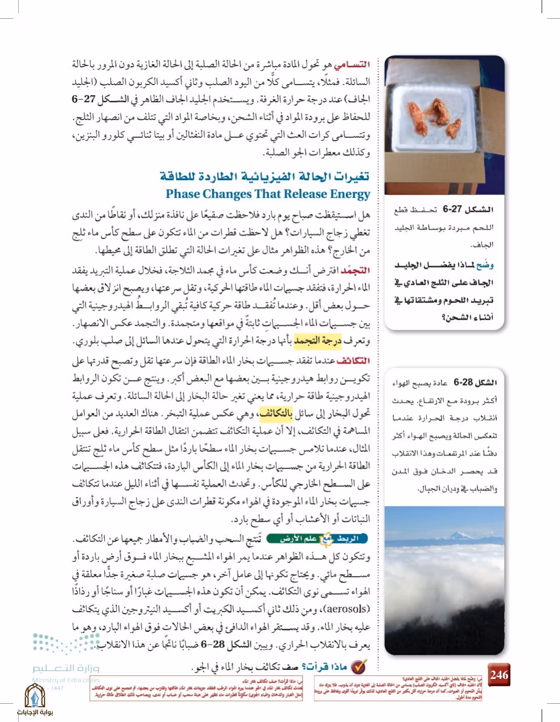 صفحة 246