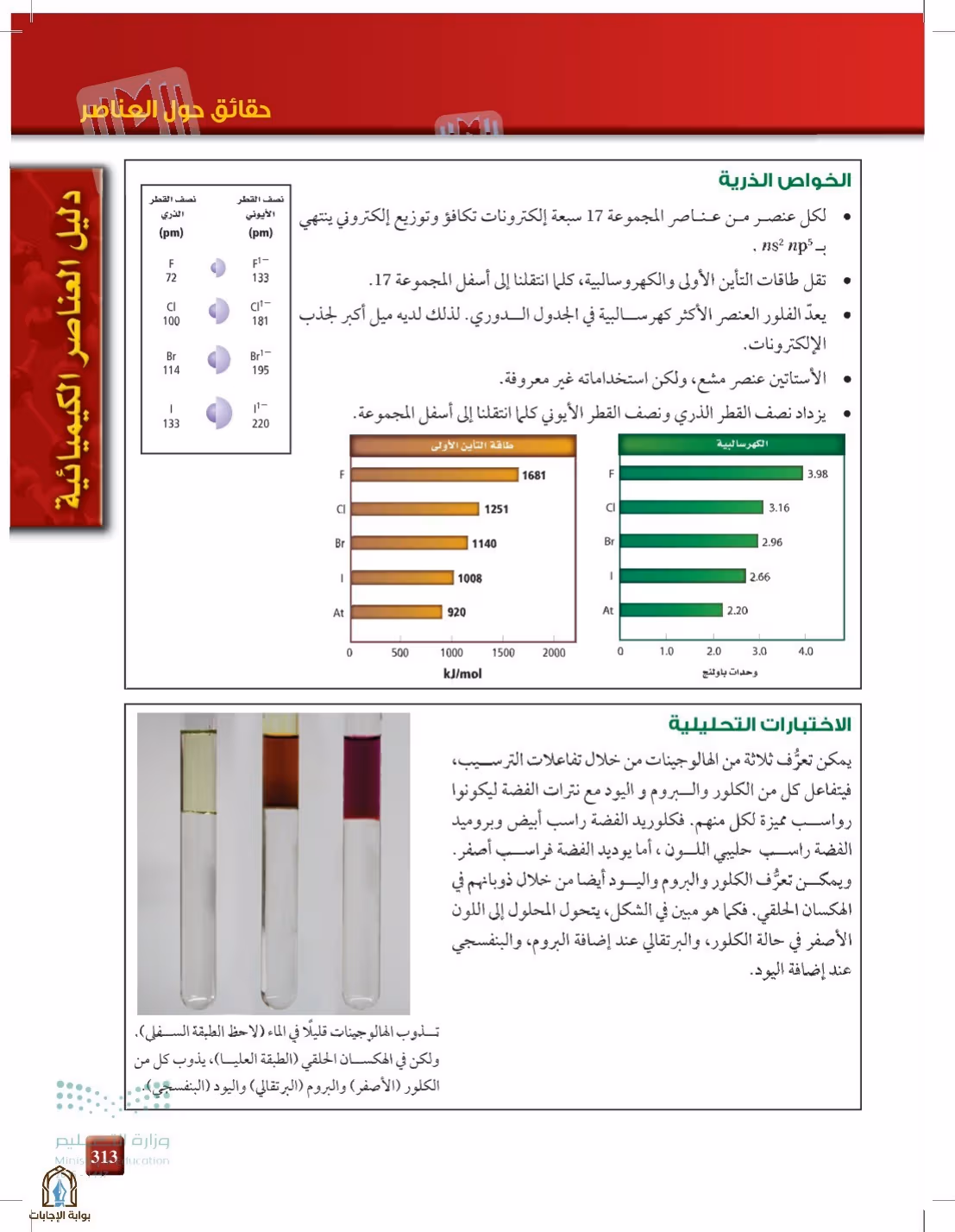 صفحة 313
