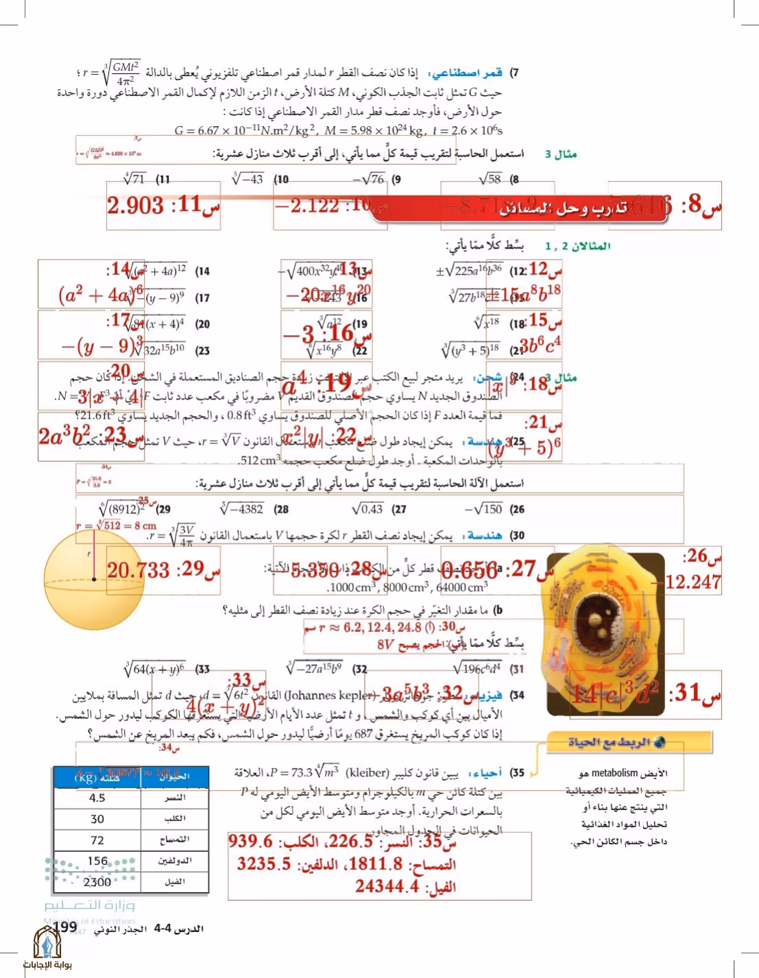 صفحة 199