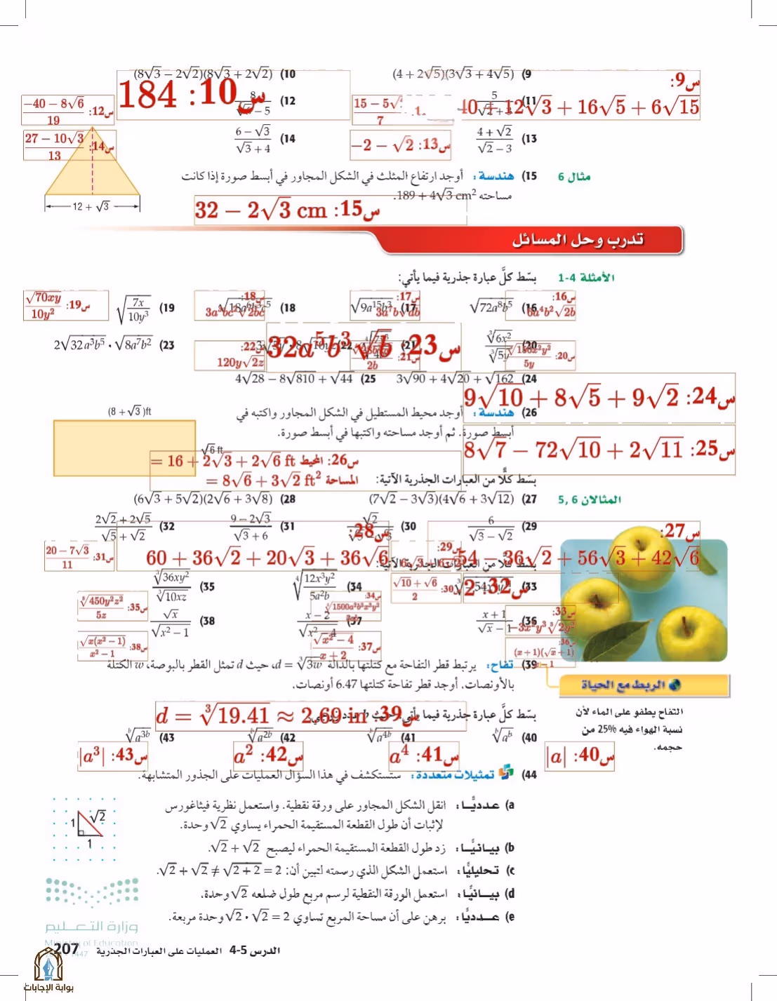 صفحة 207