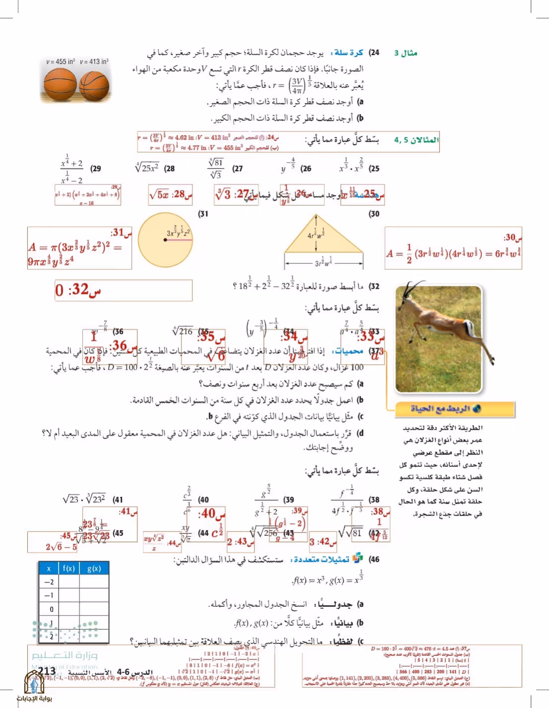 صفحة 213