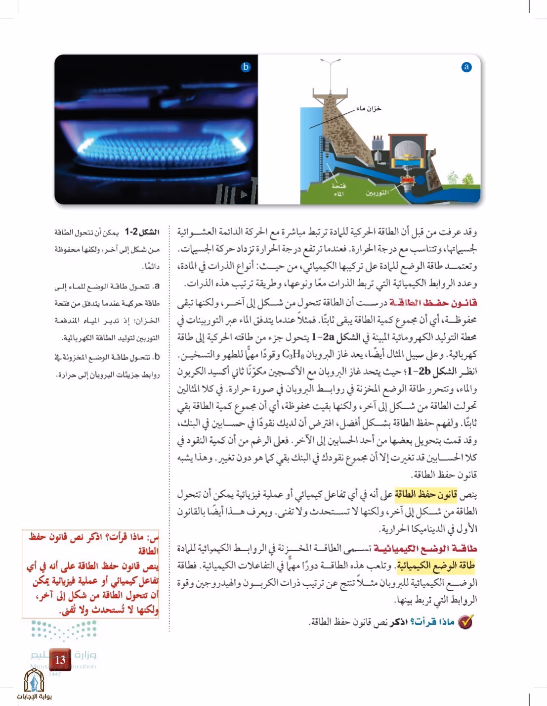 صفحة 13