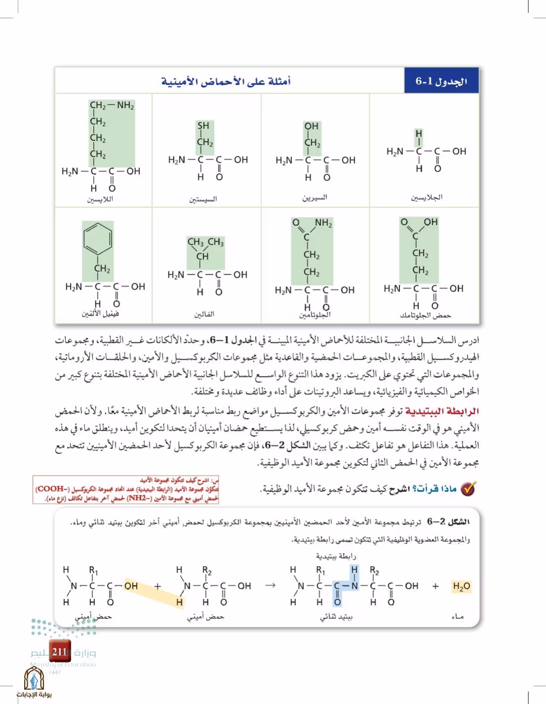 صفحة 211