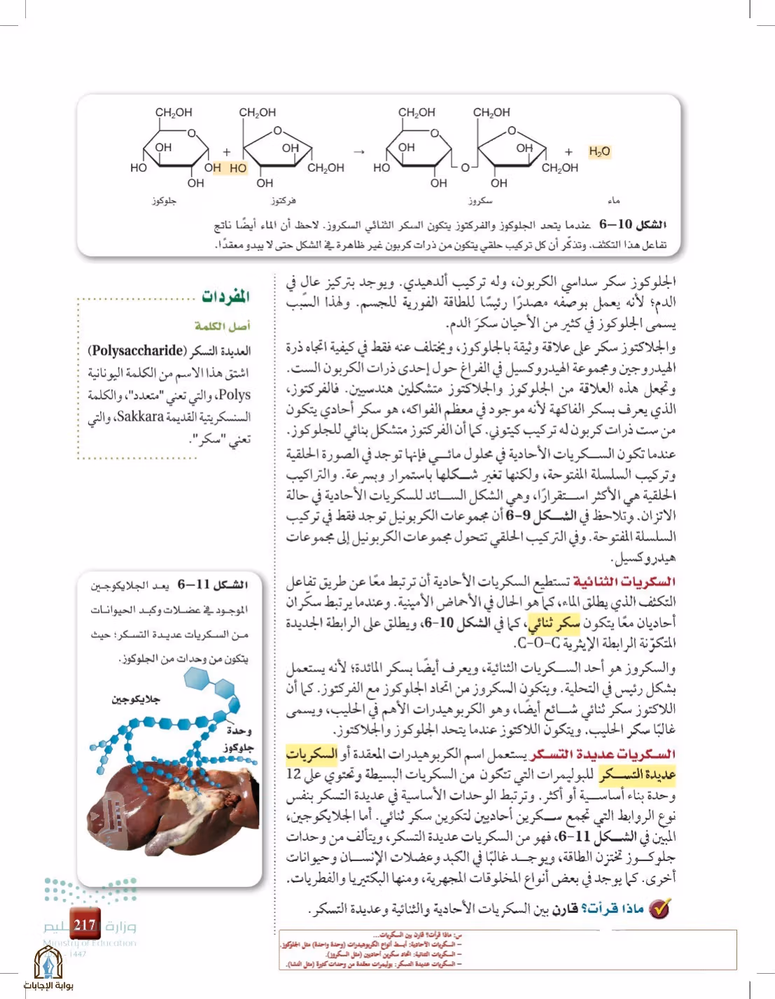 صفحة 217