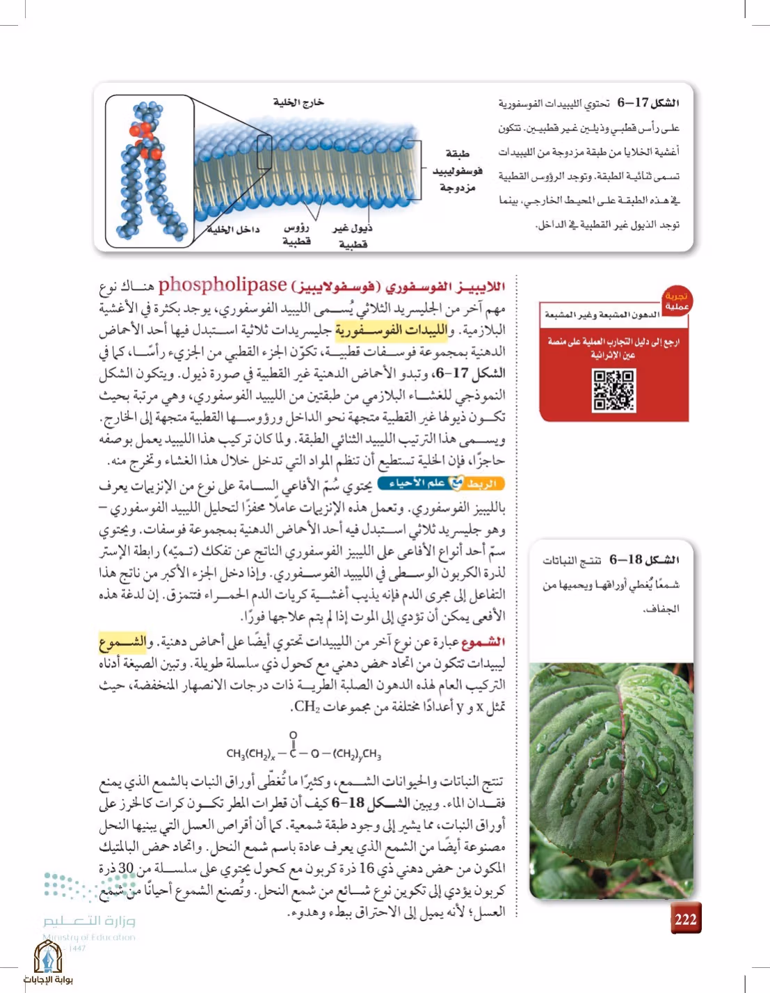 صفحة 222