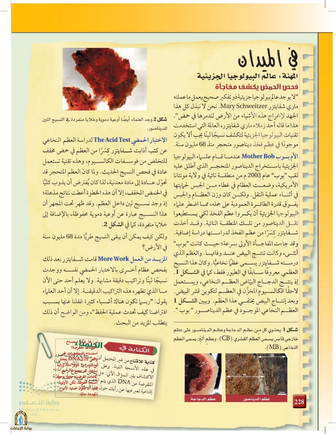 صفحة 228