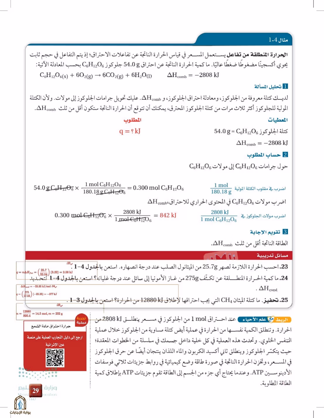 صفحة 29