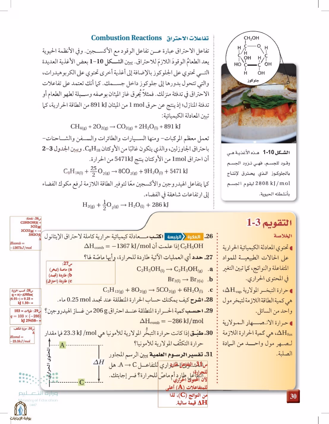 صفحة 30