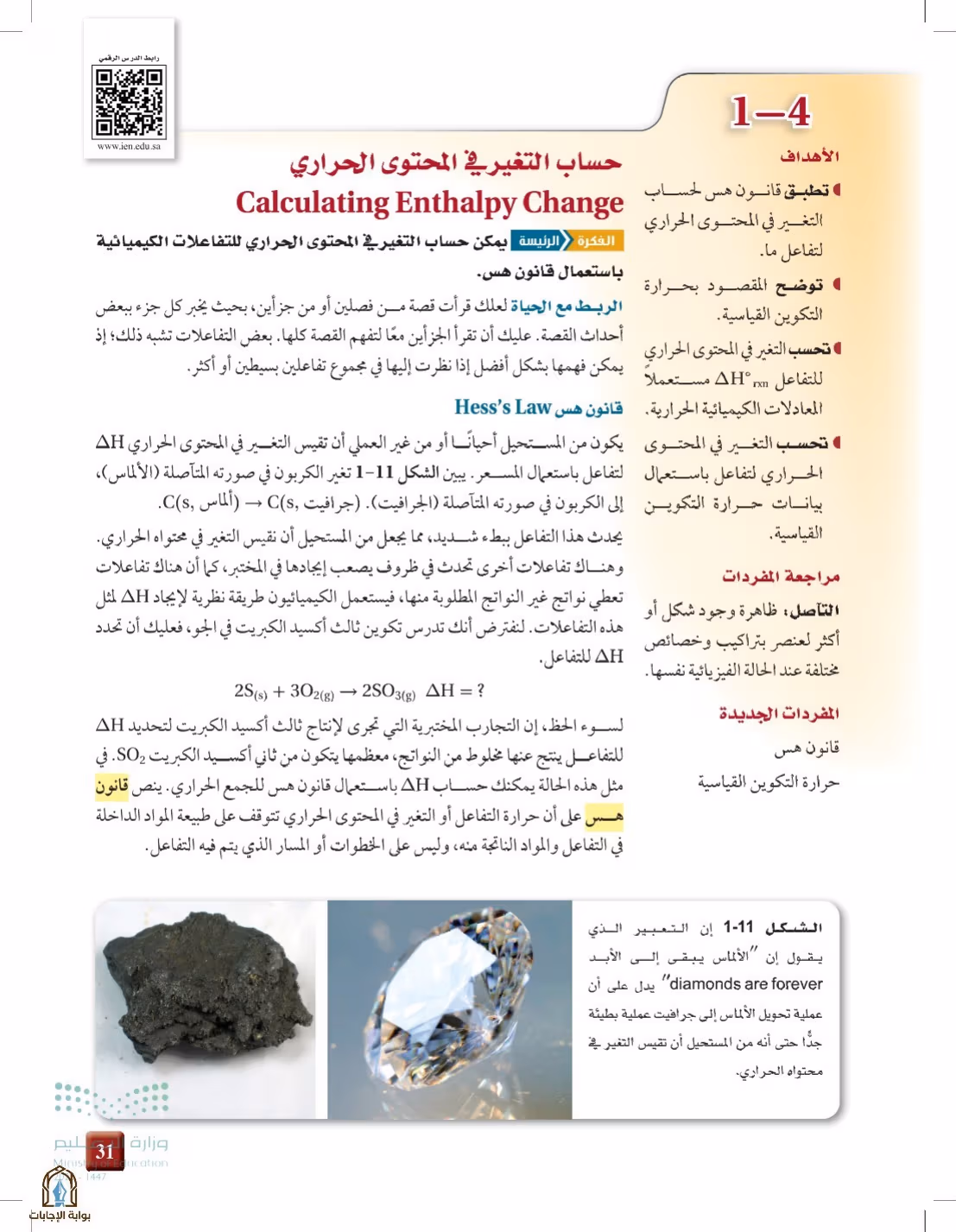 صفحة 31
