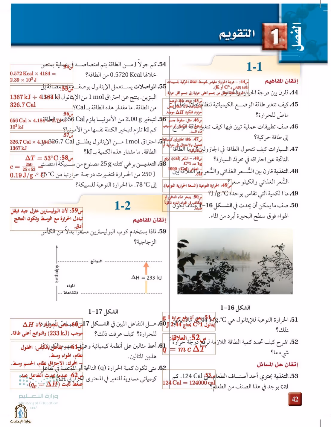 صفحة 42