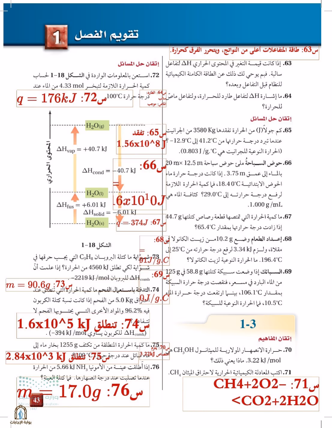 صفحة 43