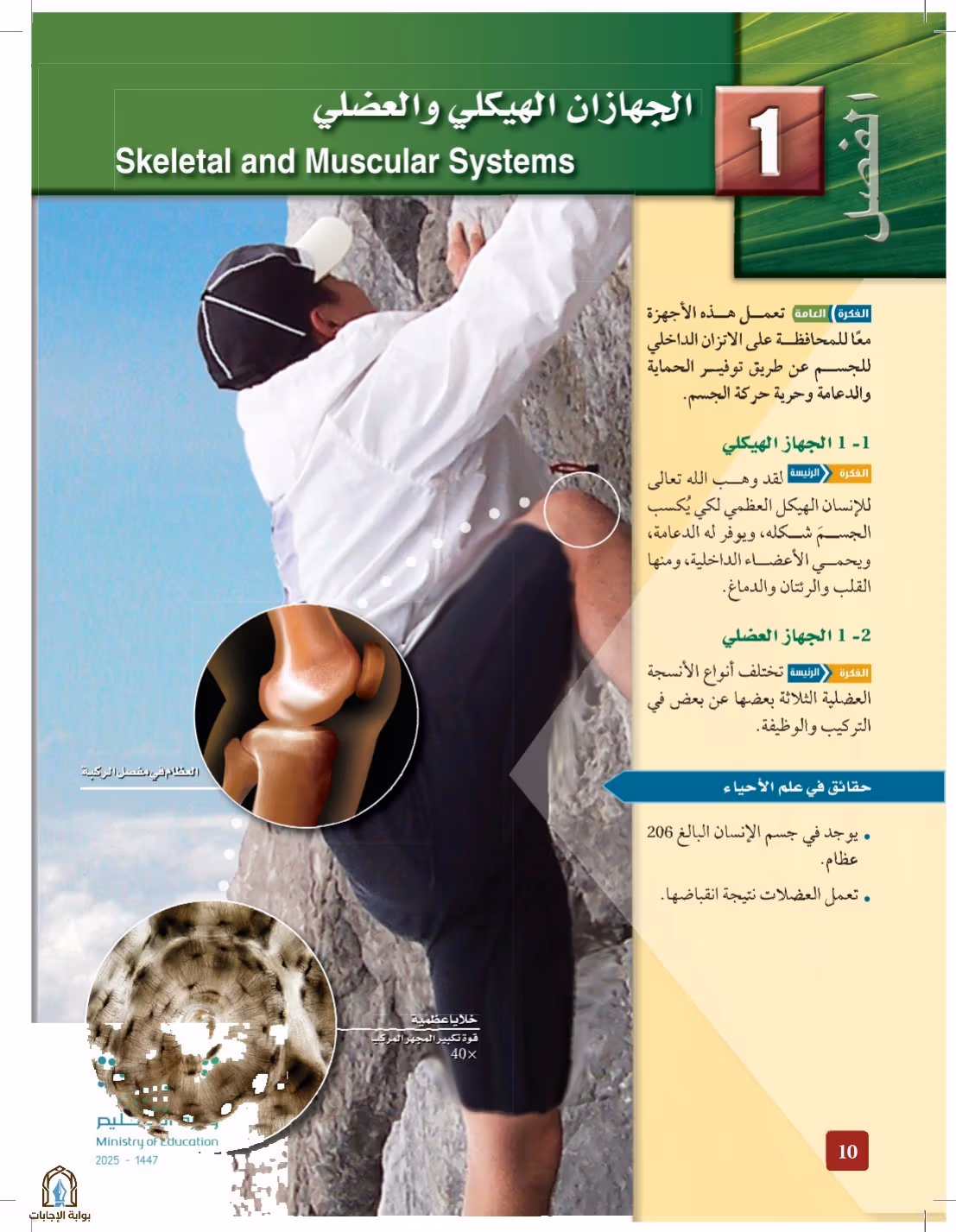 صفحة 10