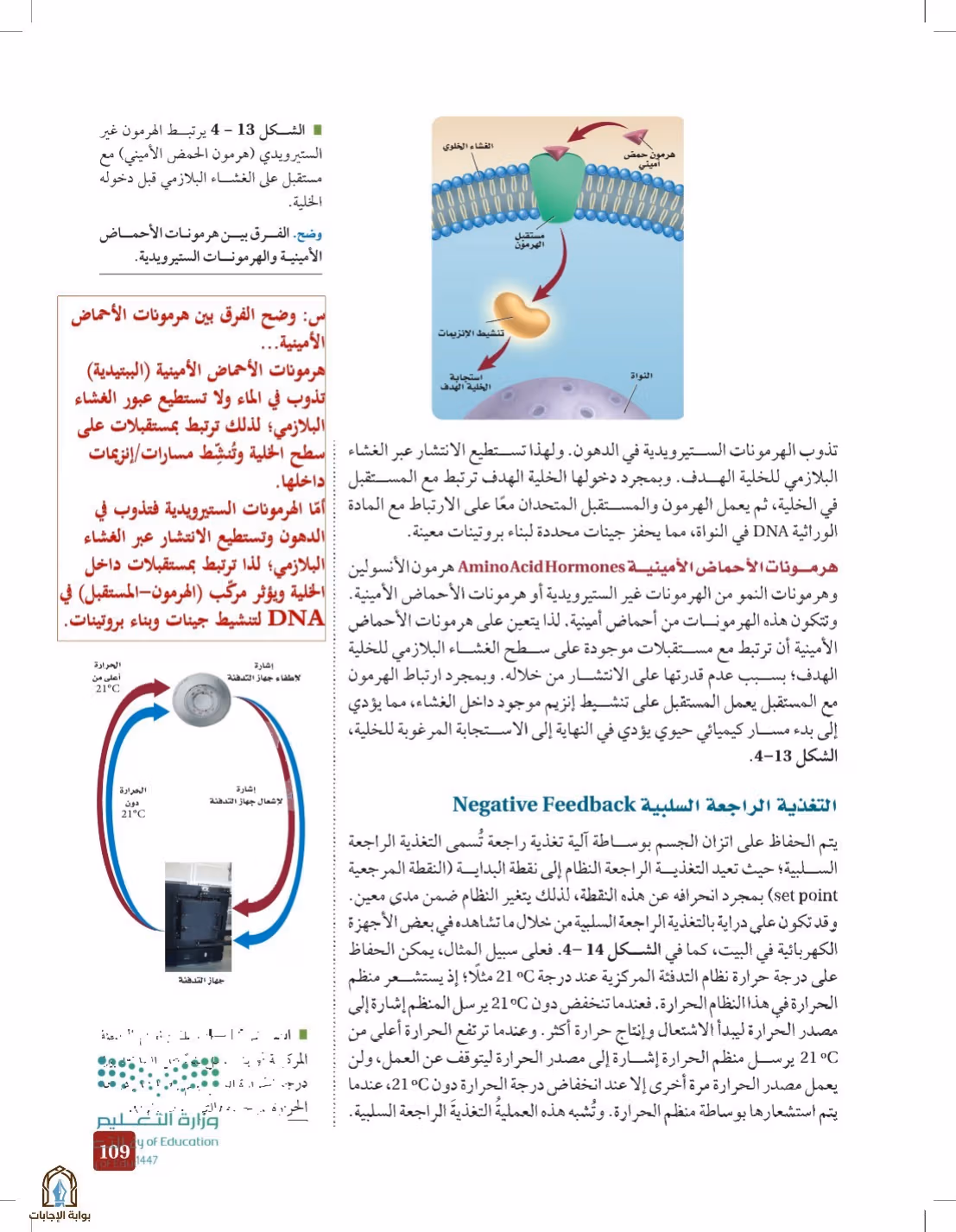 صفحة 109