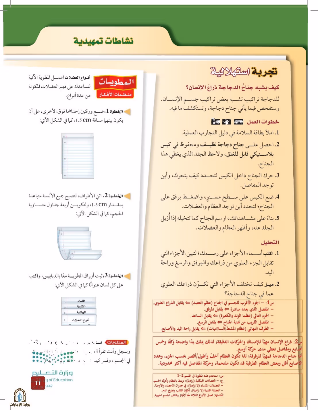 صفحة 11
