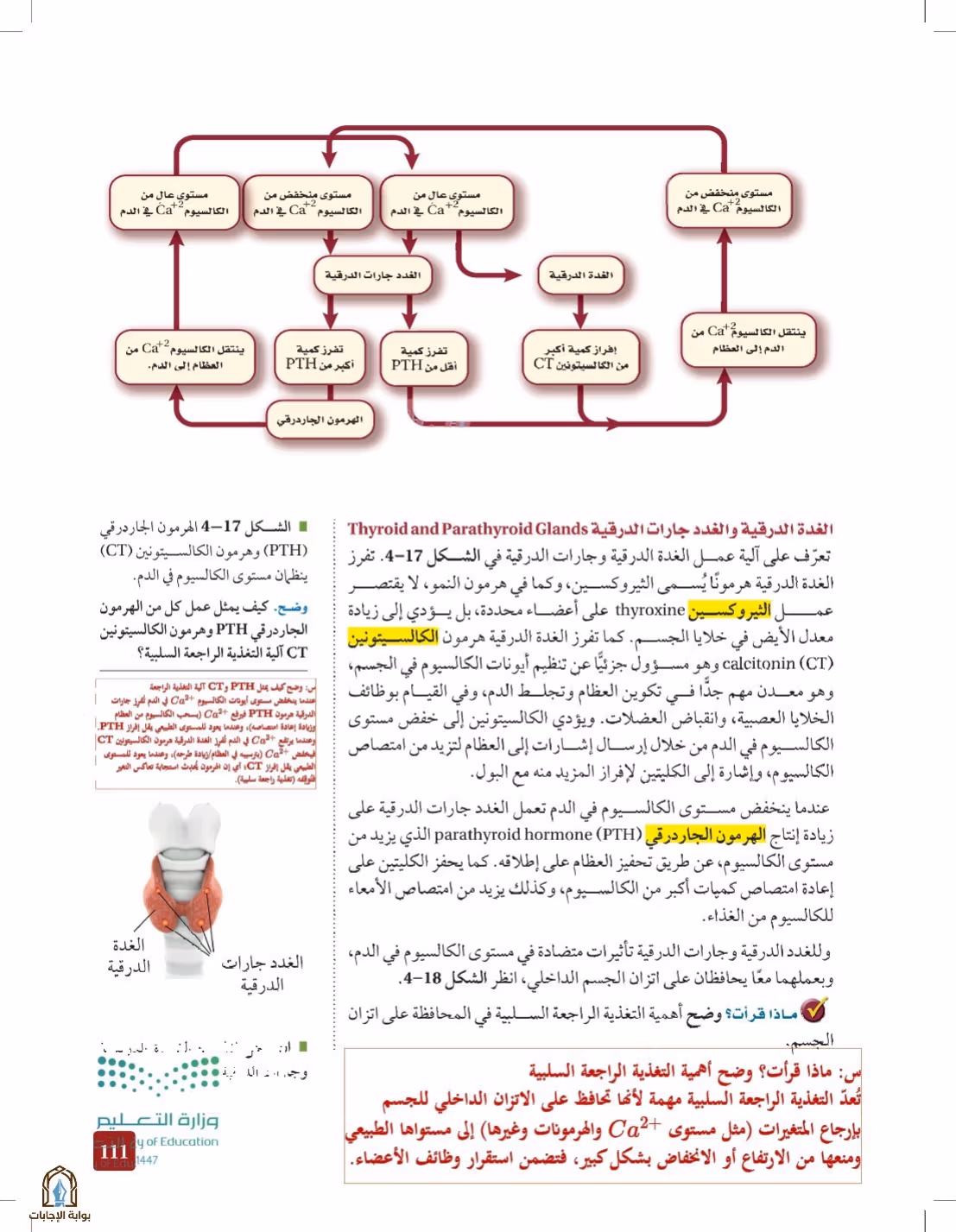 صفحة 111