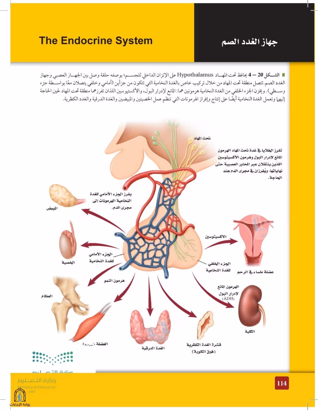 صفحة 114