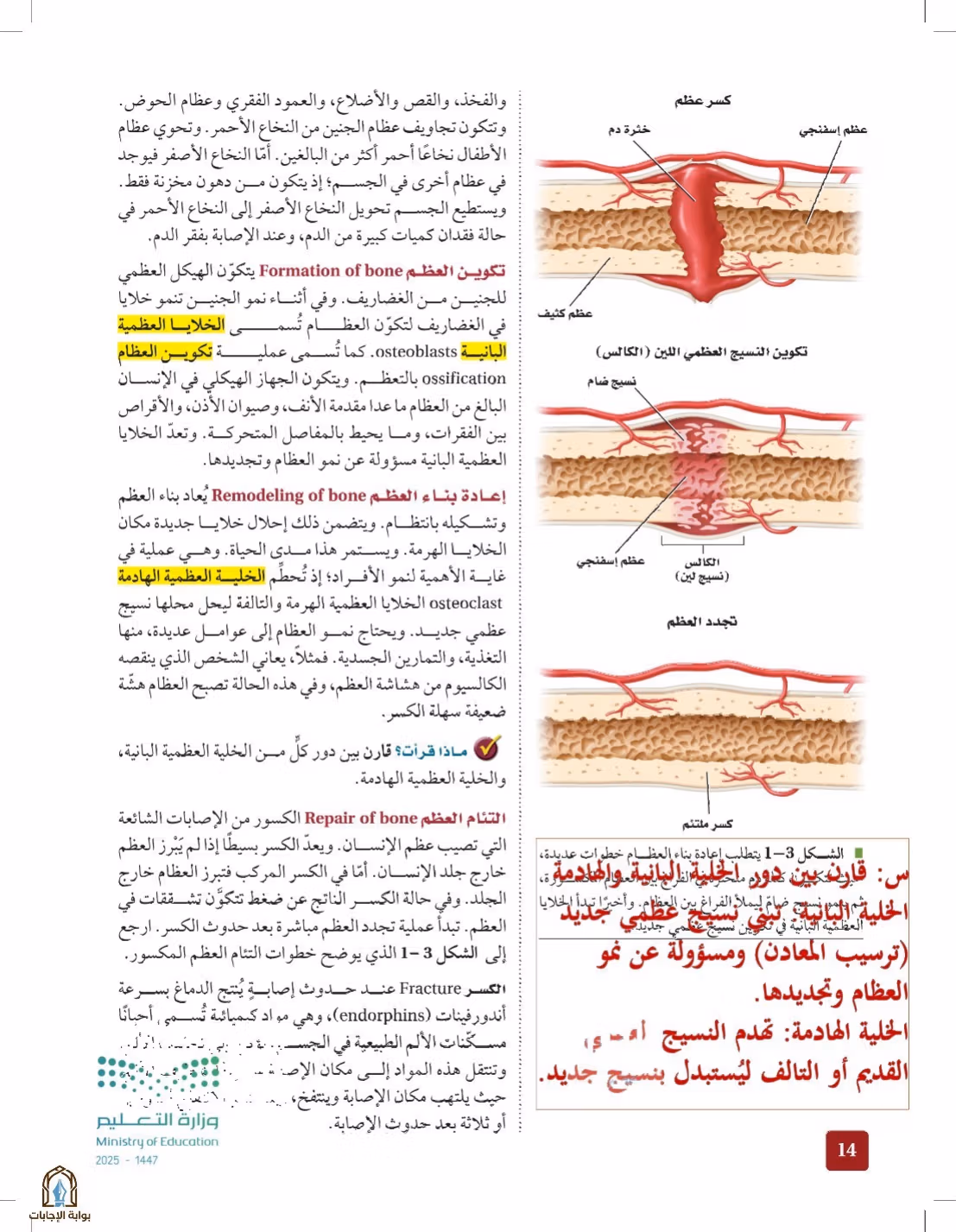 صفحة 14