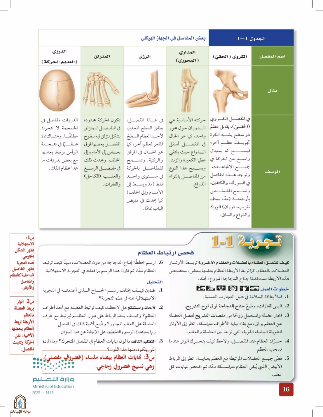 صفحة 16