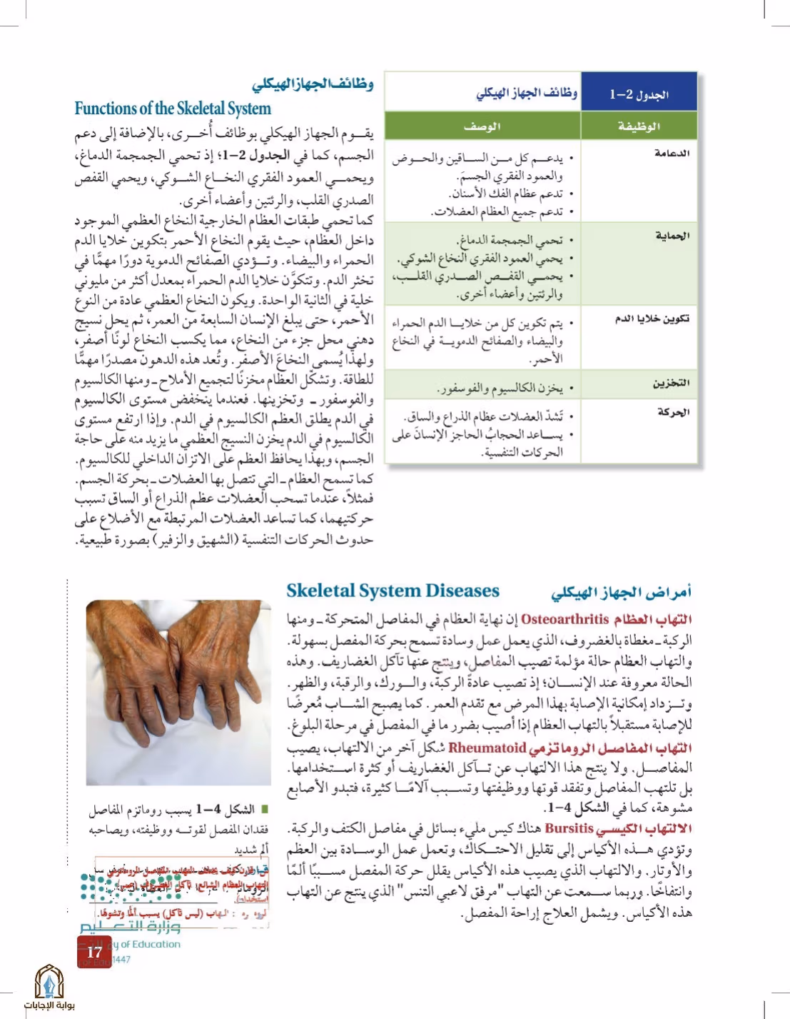 صفحة 17