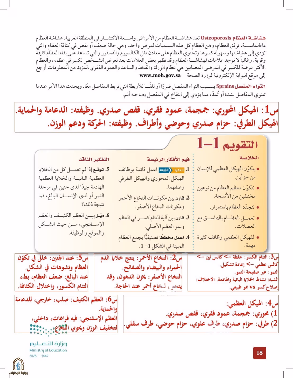 صفحة 18