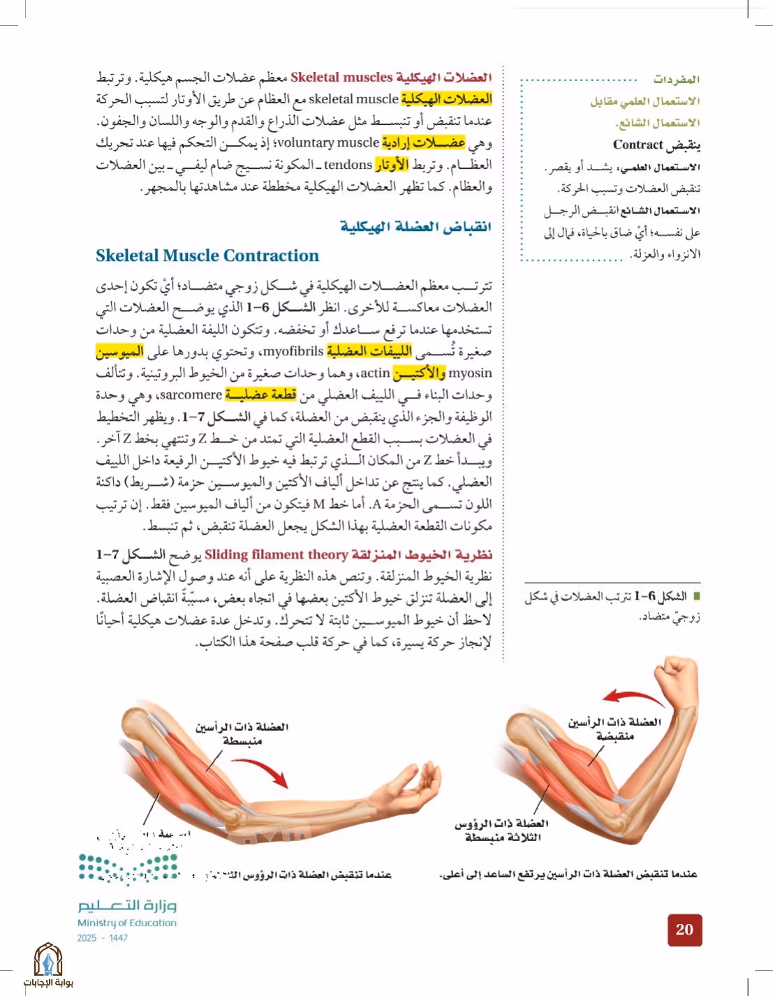 صفحة 20