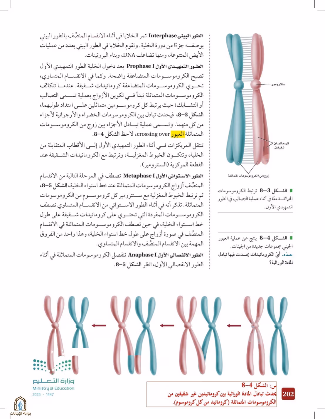 صفحة 202