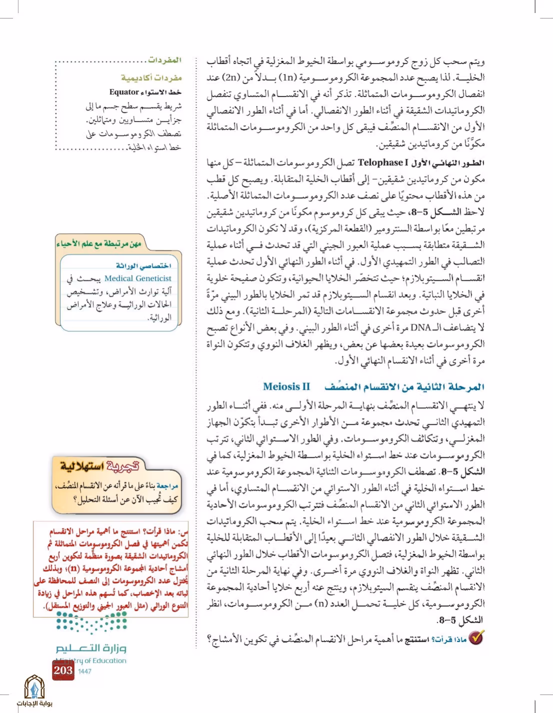 صفحة 203