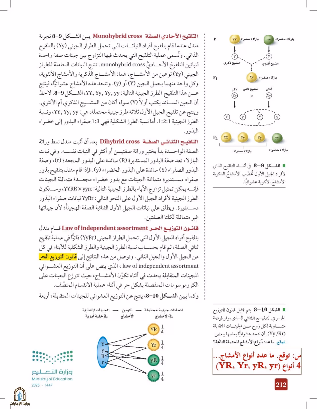 صفحة 212