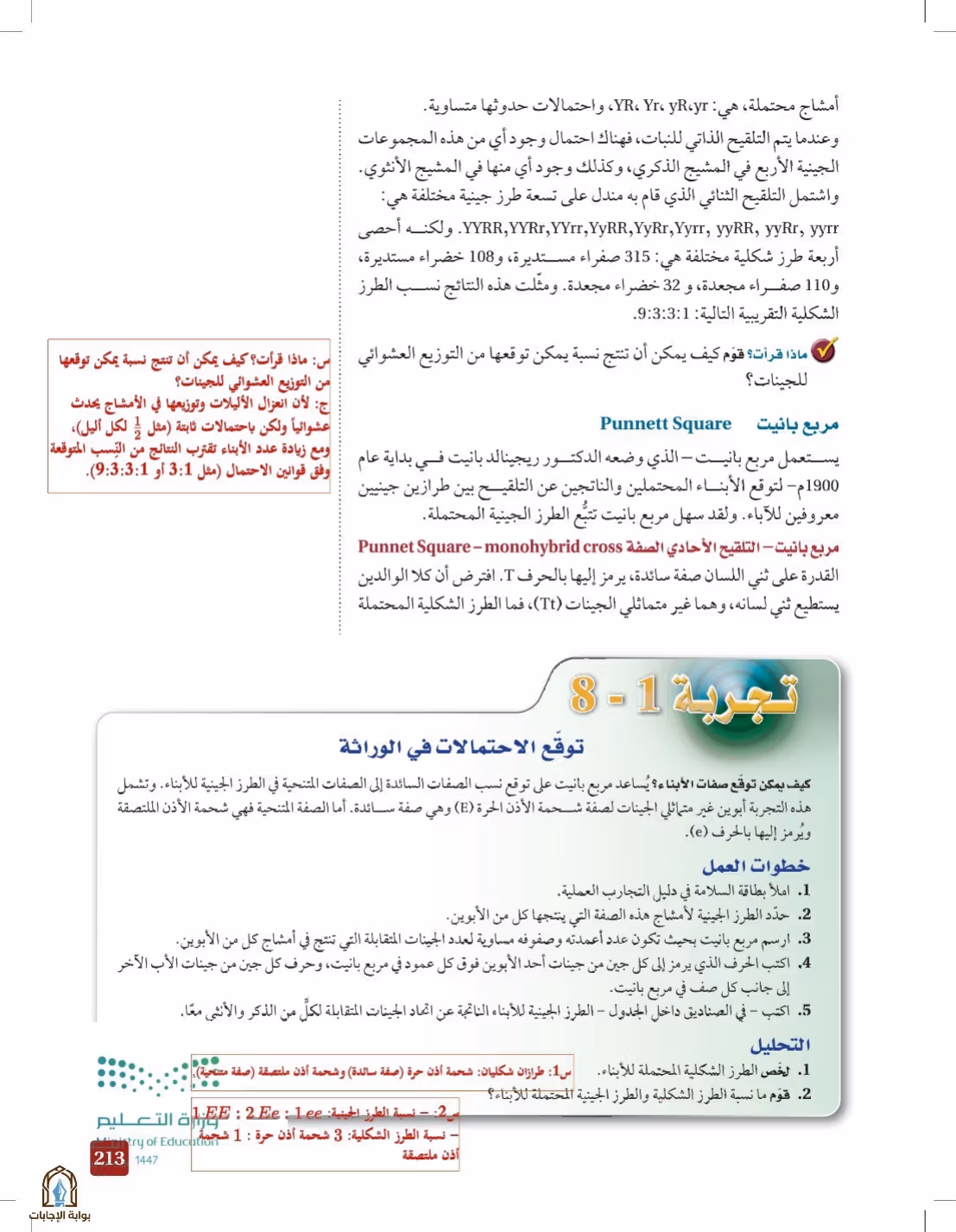 صفحة 213