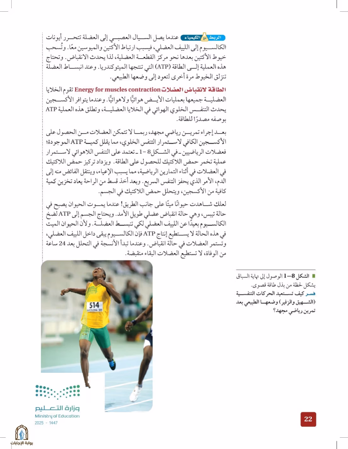 صفحة 22