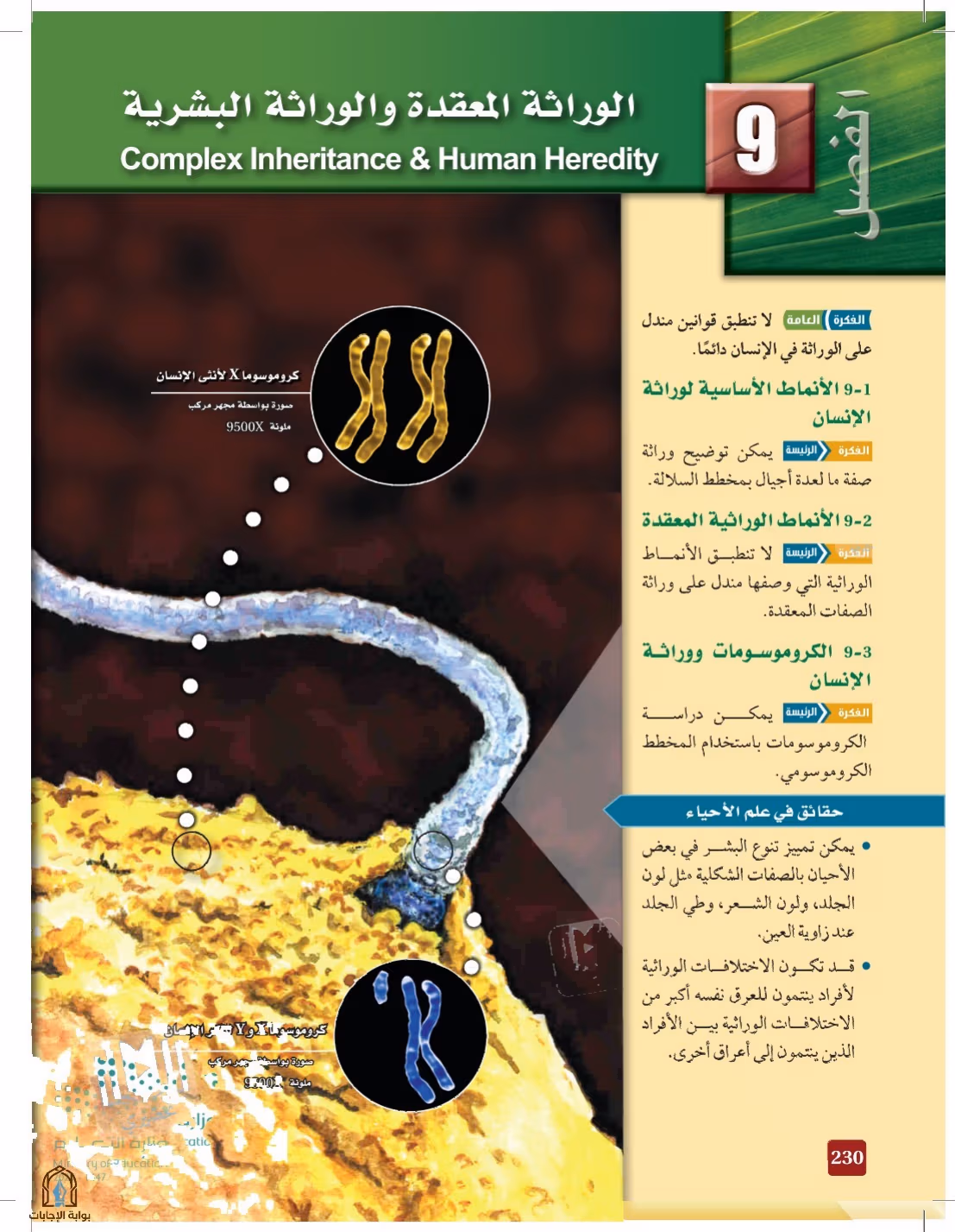 صفحة 230