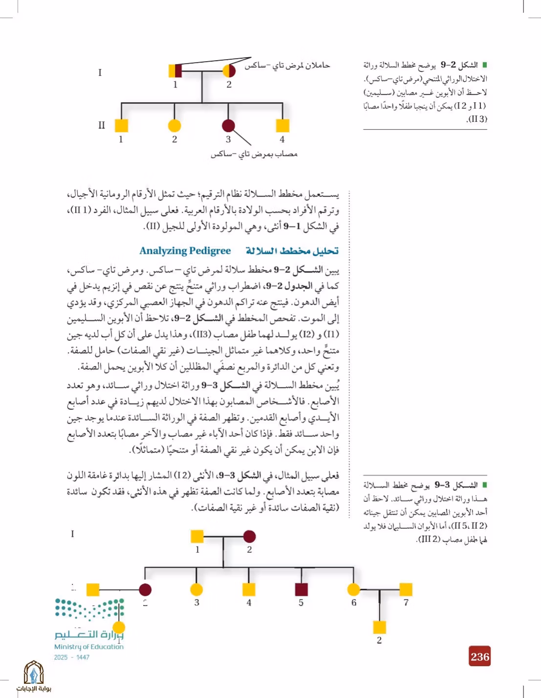 صفحة 236