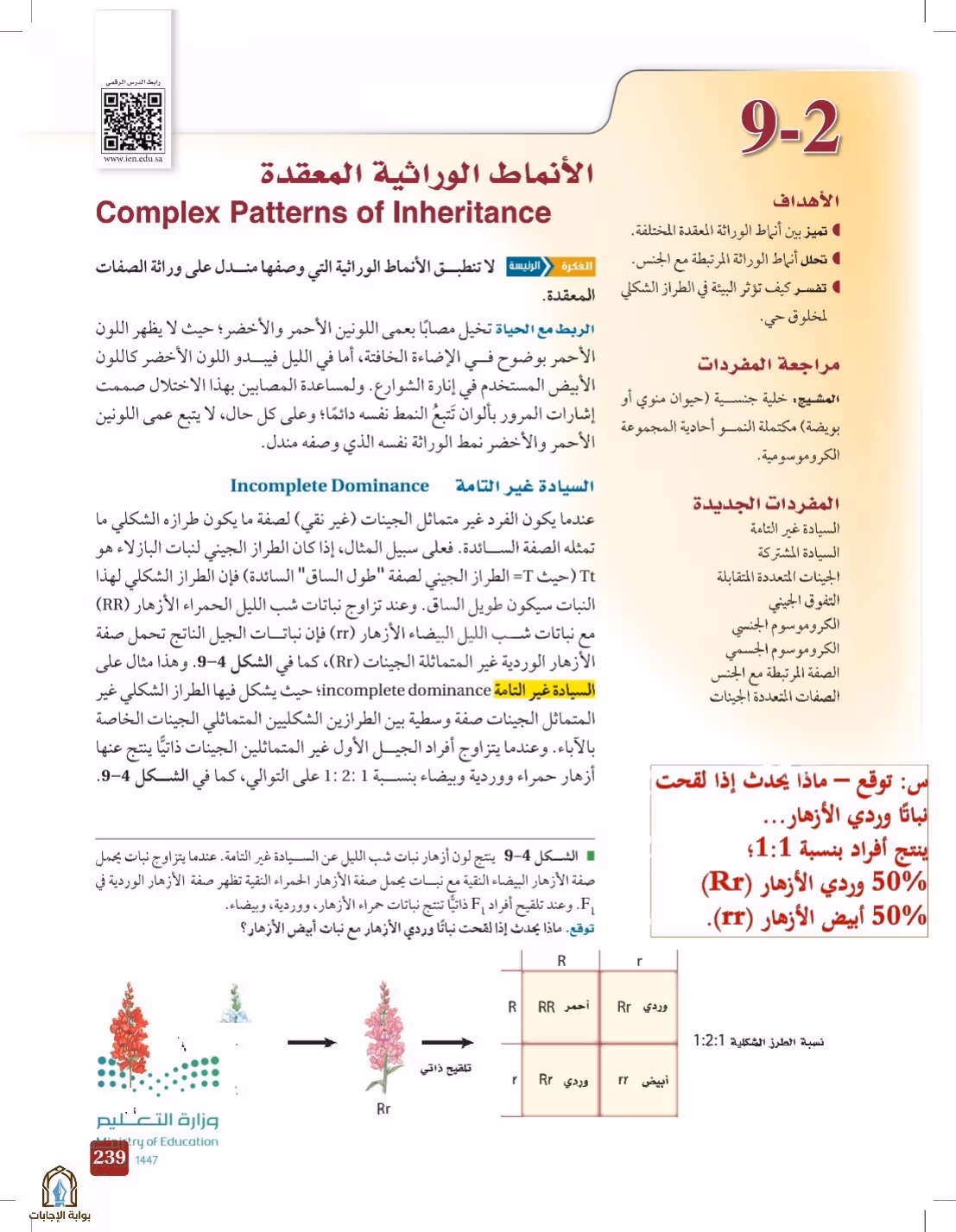 صفحة 239