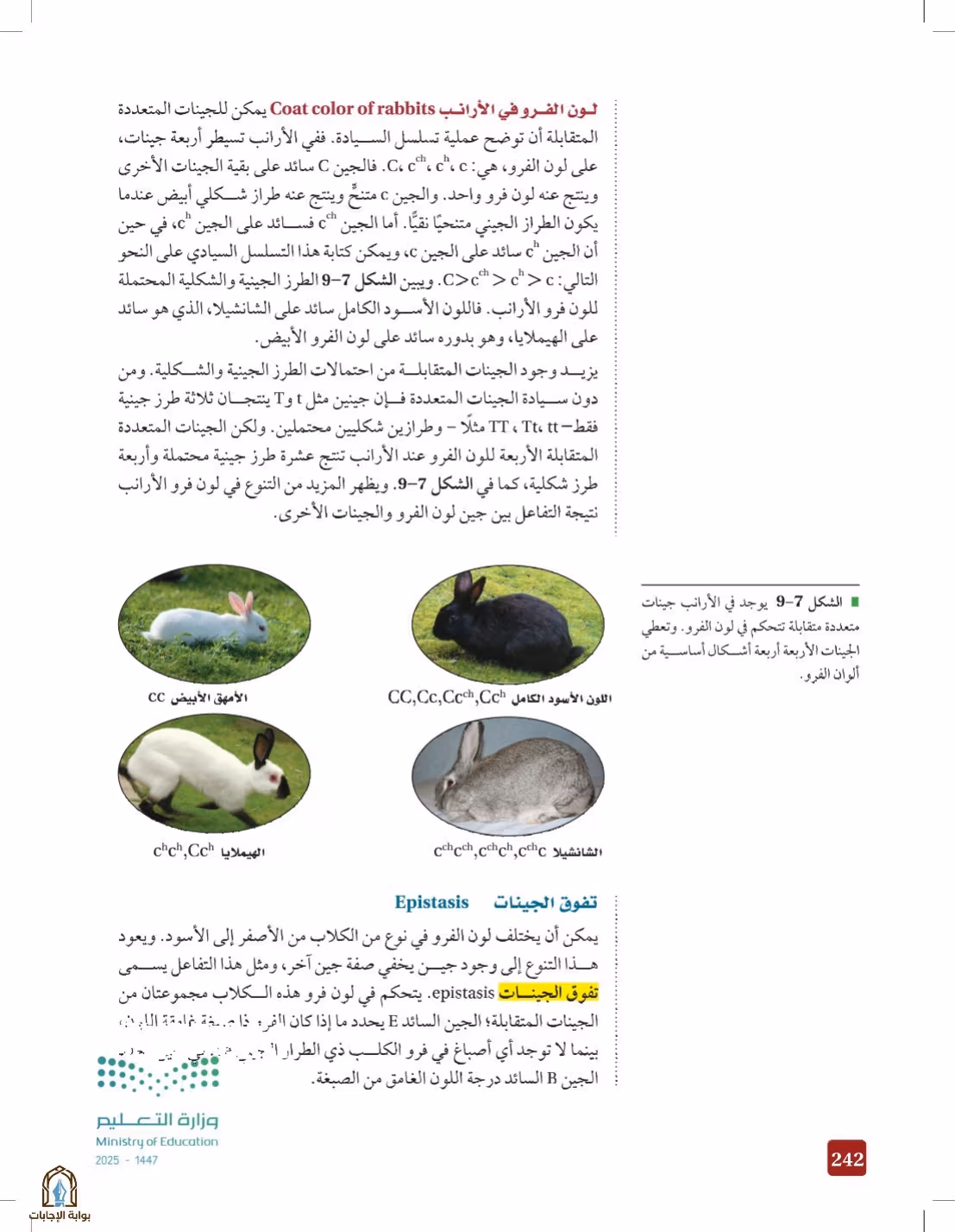 صفحة 242