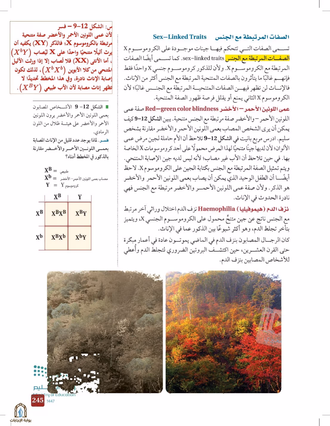 صفحة 245