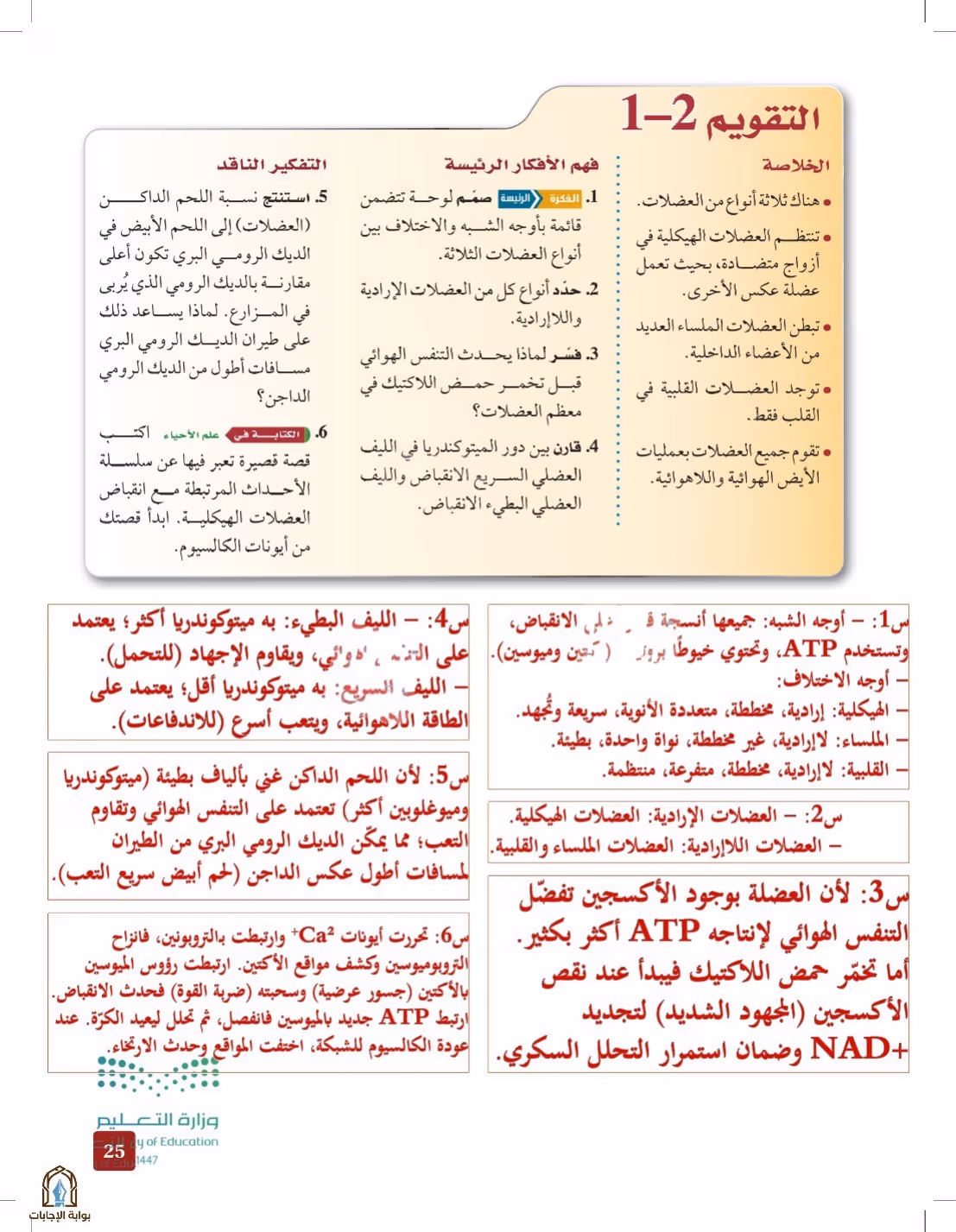 صفحة 25