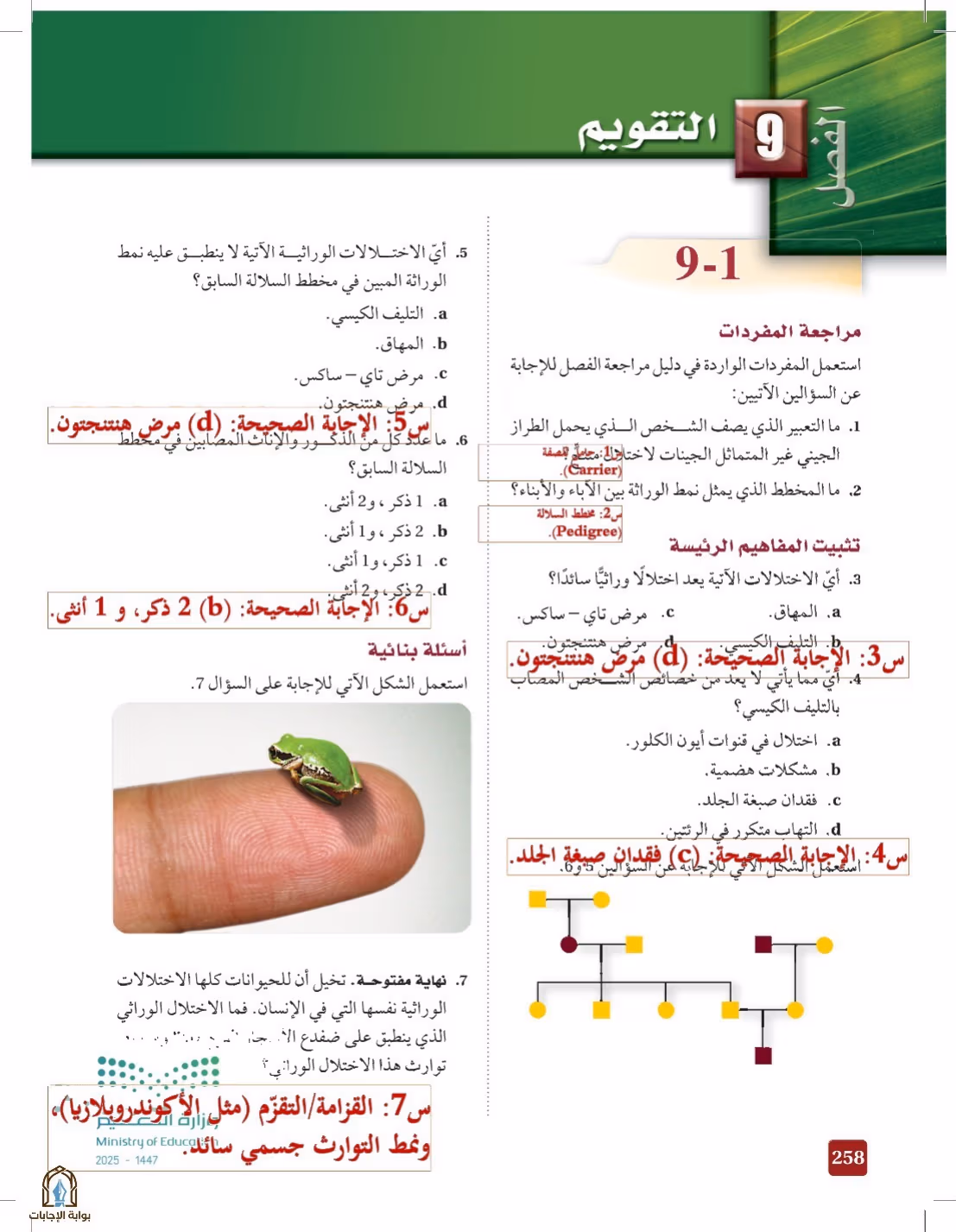 صفحة 258