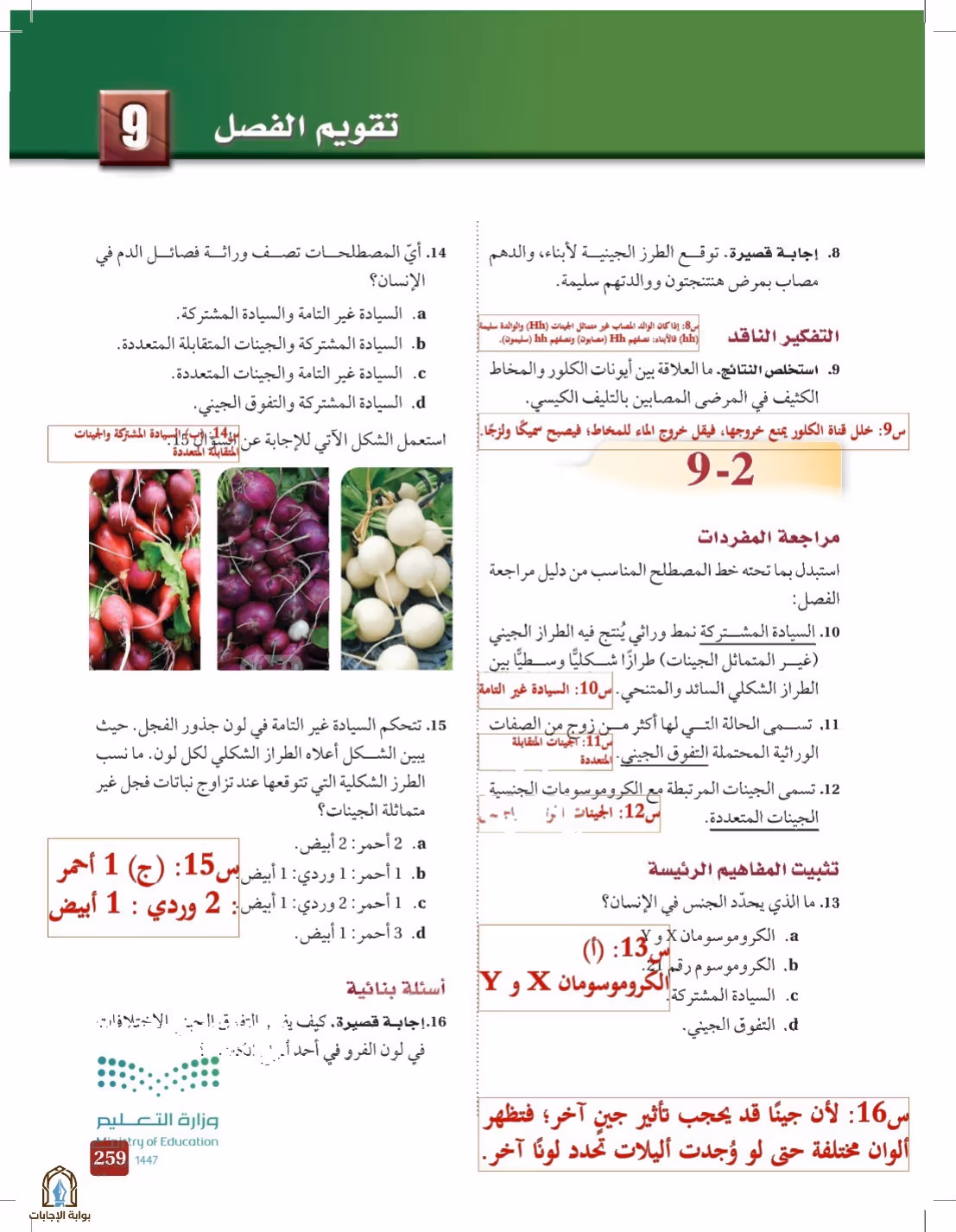 صفحة 259