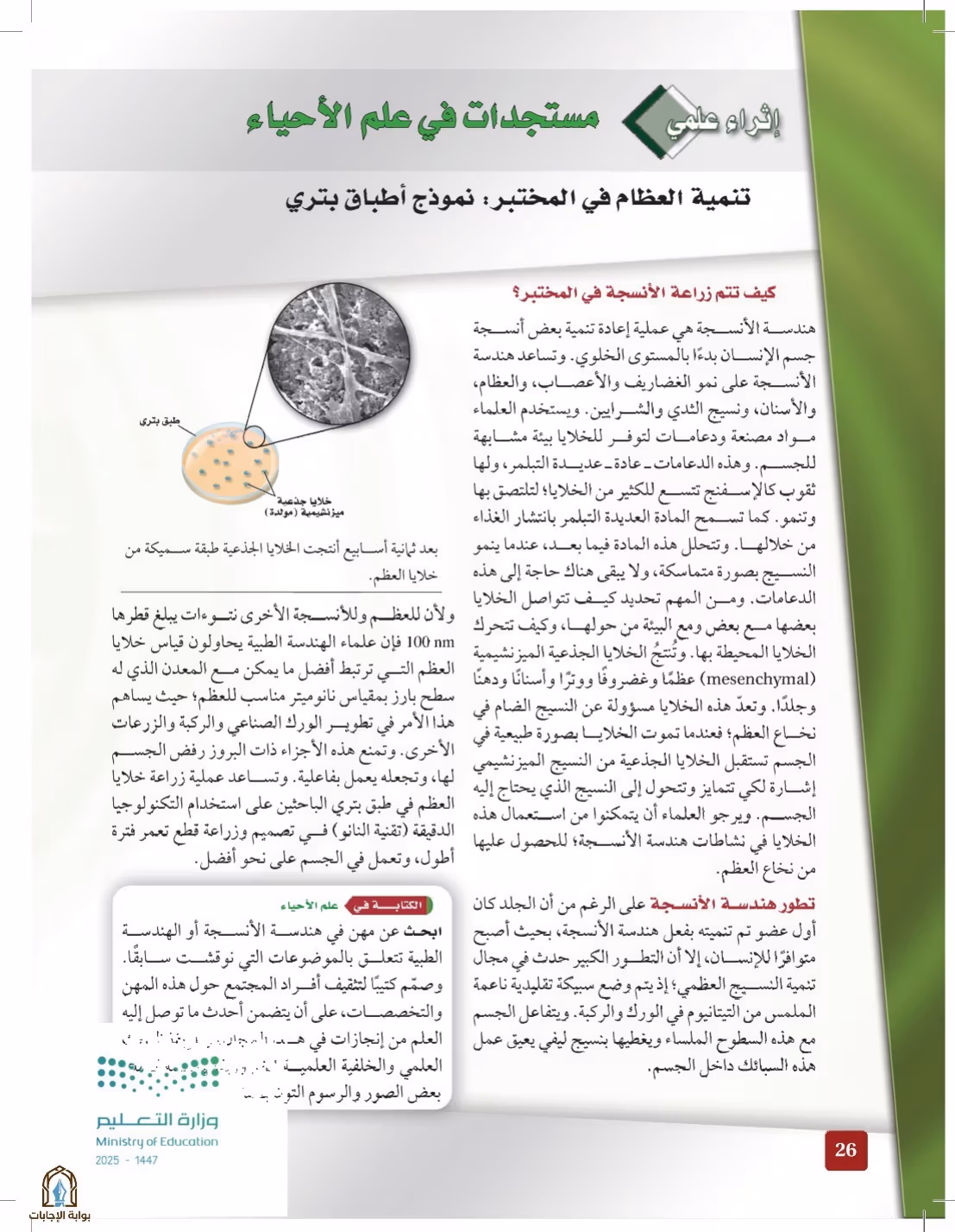 صفحة 26
