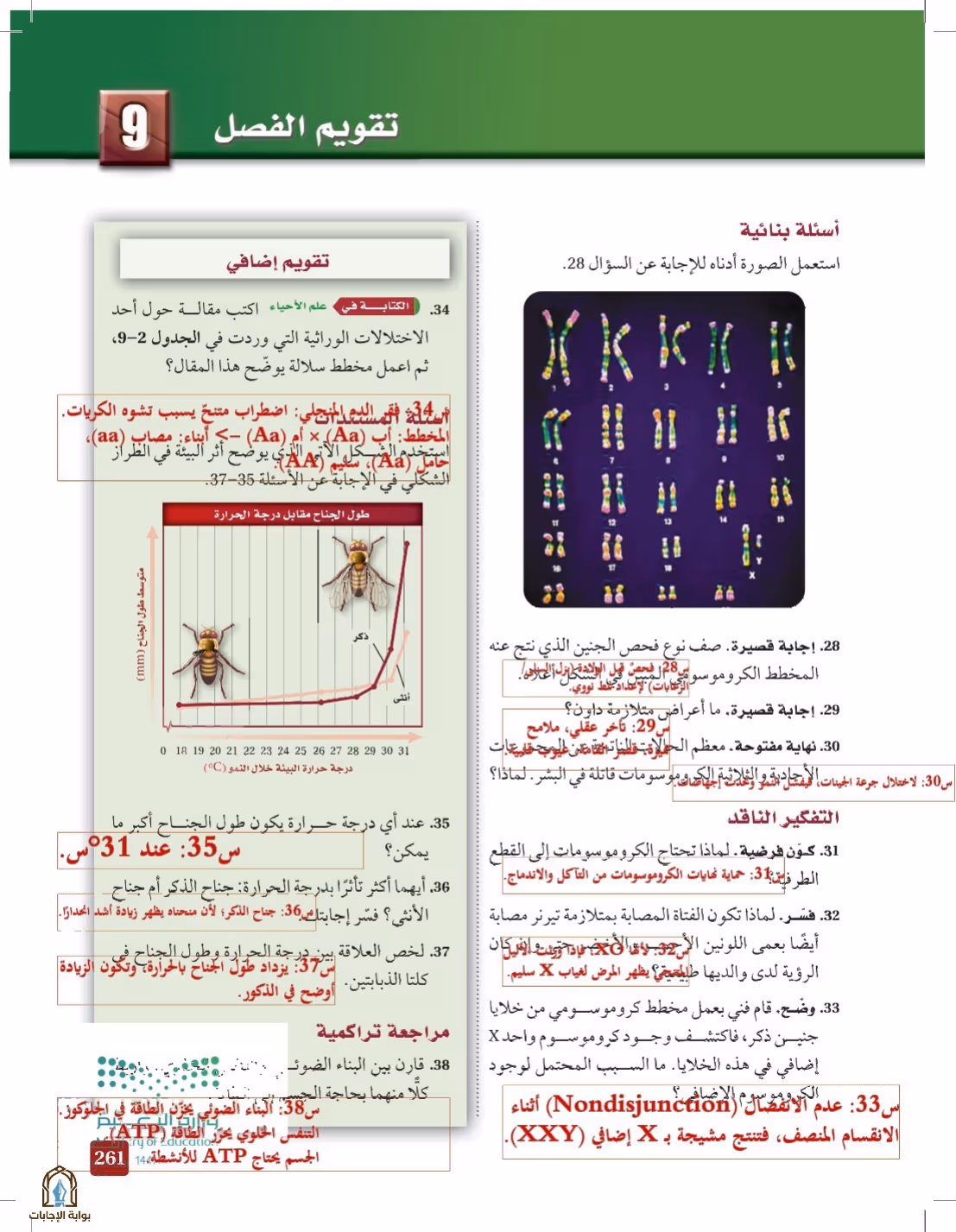 صفحة 261