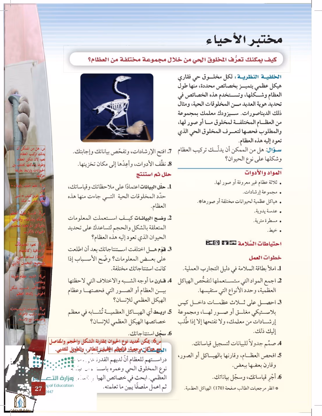 صفحة 27