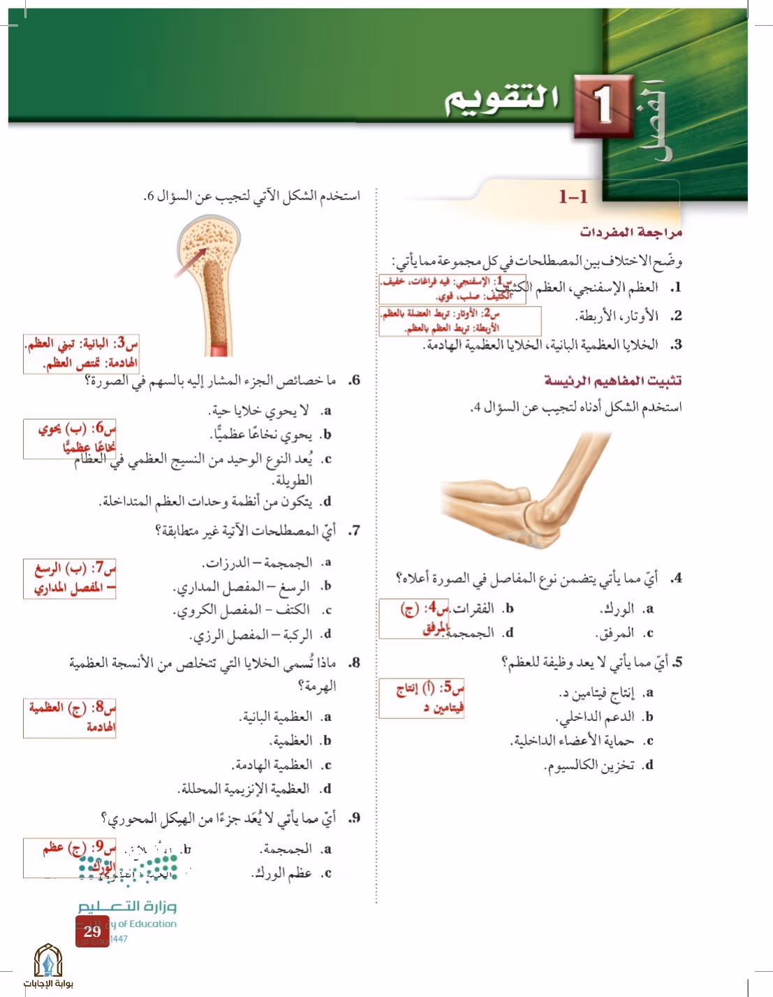 صفحة 29